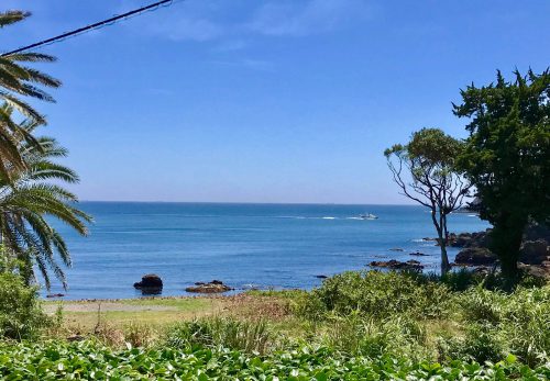 空室状況・南伊豆の天気についてのご案内